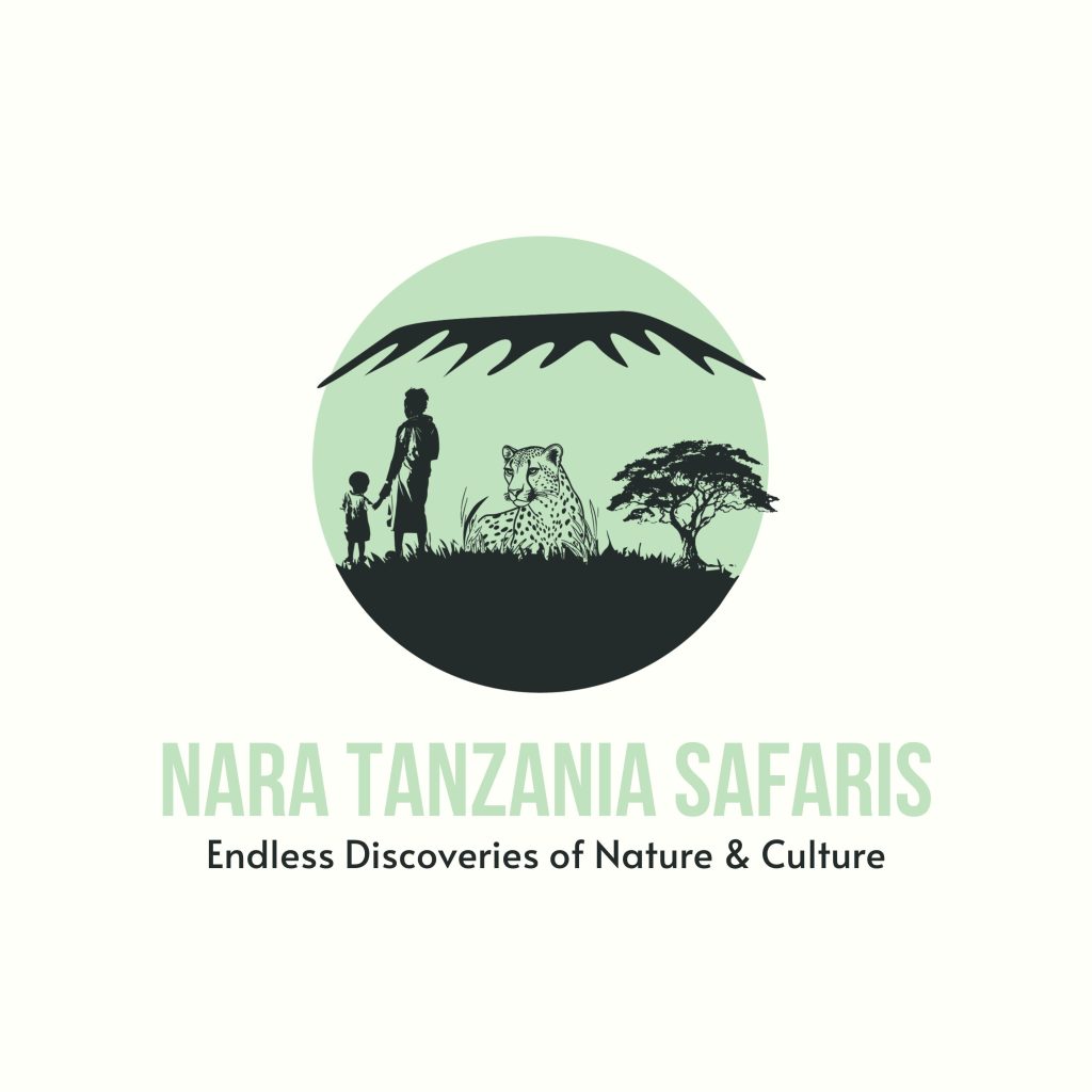 NARATOURS-LOGO-Draft-Final