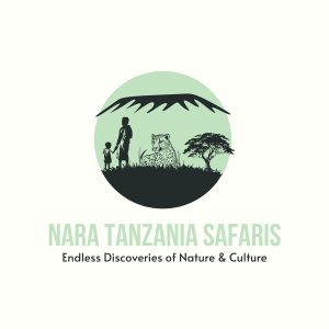 NARATOURS-LOGO-Draft-Final